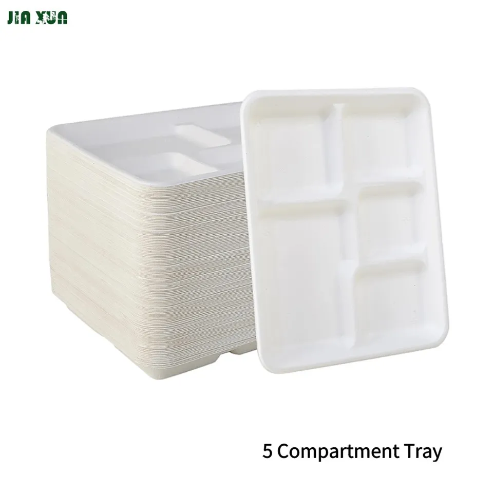 Sugarcane Bagasse Tray